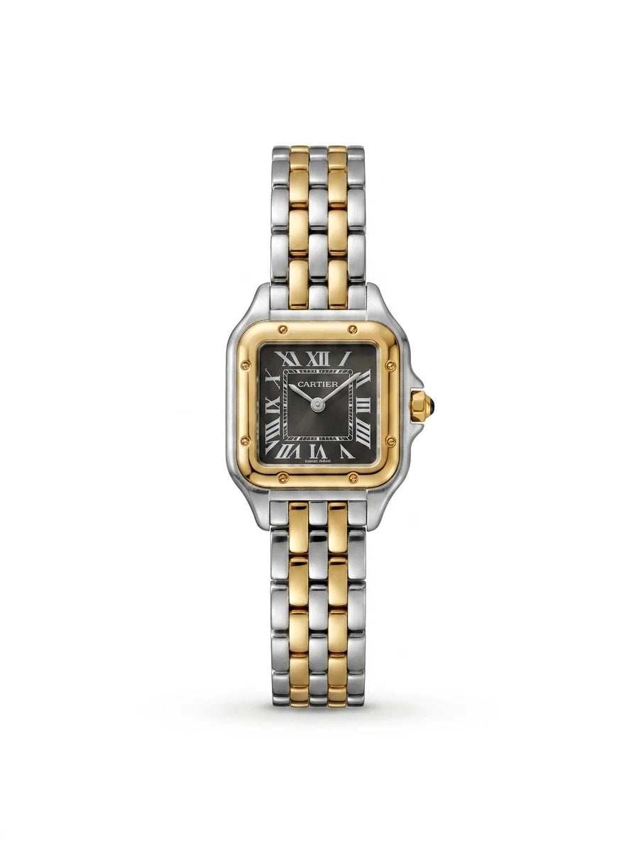 Panthère de Cartier – Silver Gold Black Dial