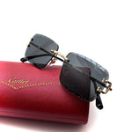 Cartier CT0425S Rimless – Black Lens