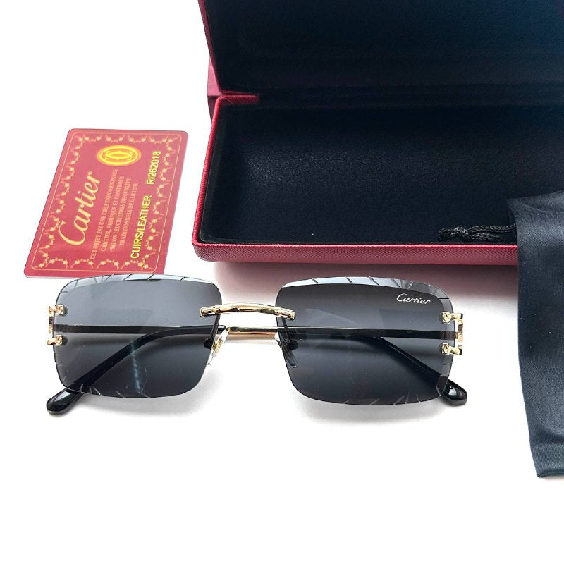 Cartier CT0425S Rimless – Black Lens