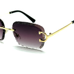 Cartier CT0425S Rimless – Purple Lens