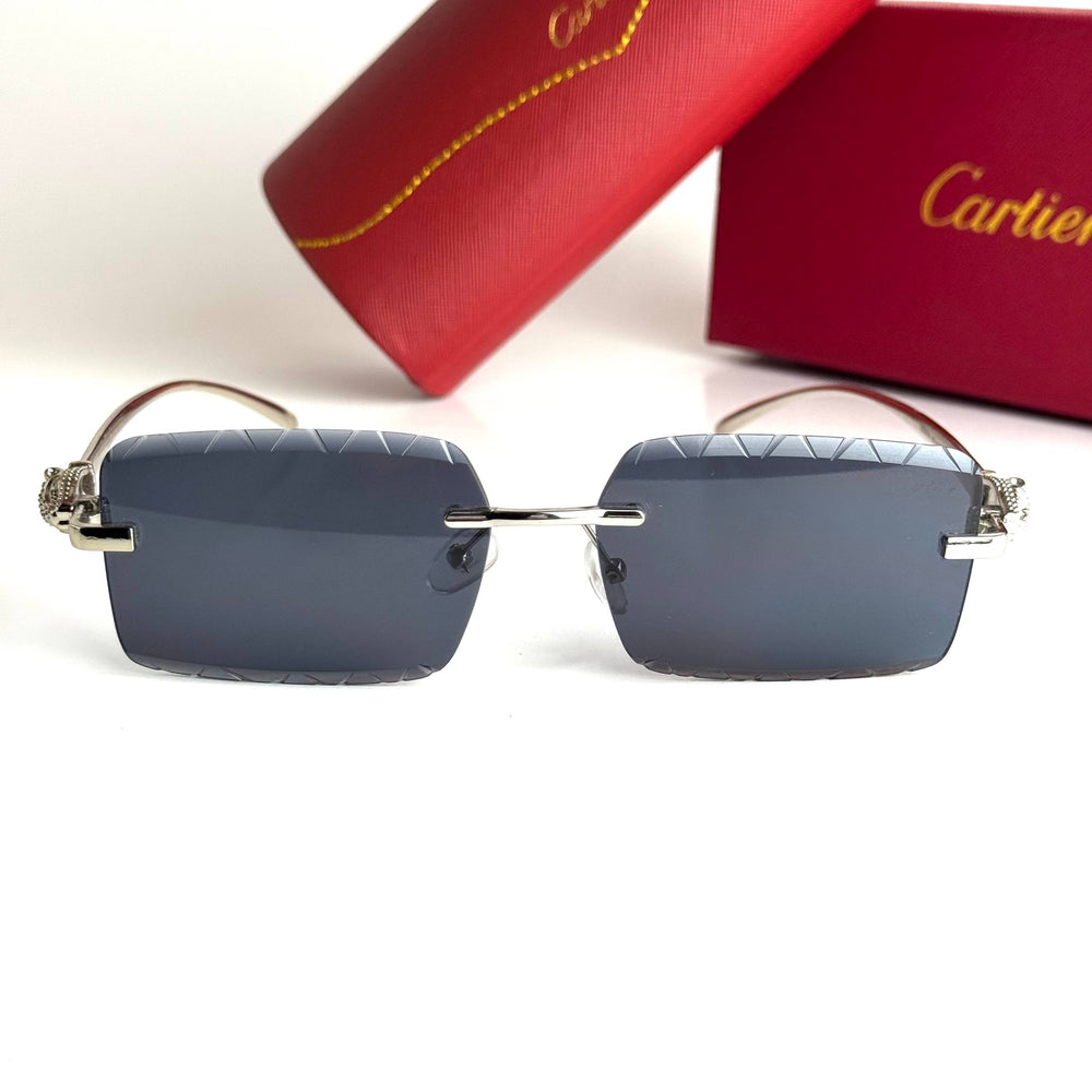 Cartier CT0425S – Silver Black