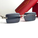 Cartier CT0425S – Silver Black