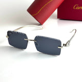 Cartier CT0425S – Silver Black