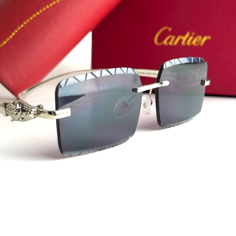 Cartier CT0425S – Silver Black