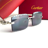 Cartier CT0425S – Silver Black