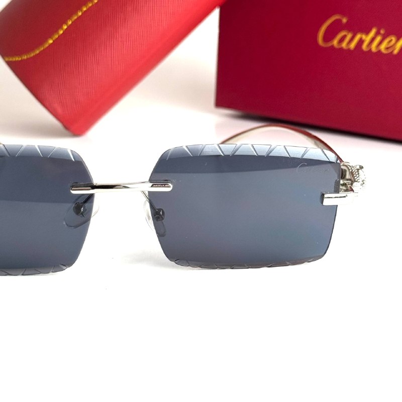 Cartier CT0425S – Silver Black