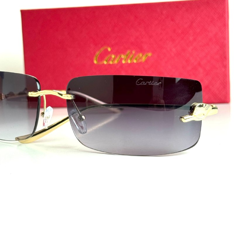 Cartier Mask CT0398S-001 – Gold Black