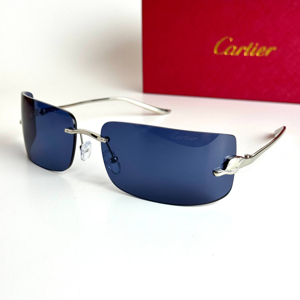 Cartier Mask CT0398S-002 – Silver Blue