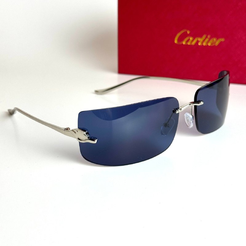 Cartier Mask CT0398S-002 – Silver Blue