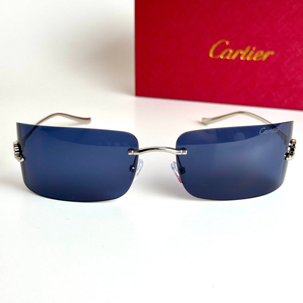 Cartier Mask CT0398S-002 – Silver Blue