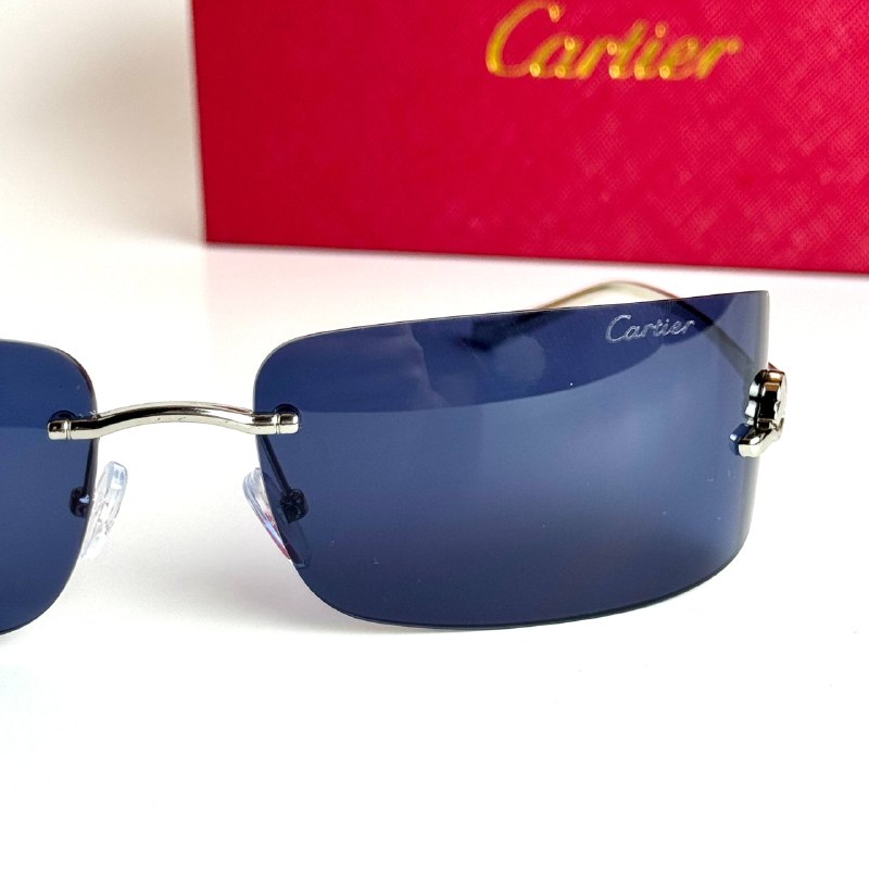 Cartier Mask CT0398S-002 – Silver Blue