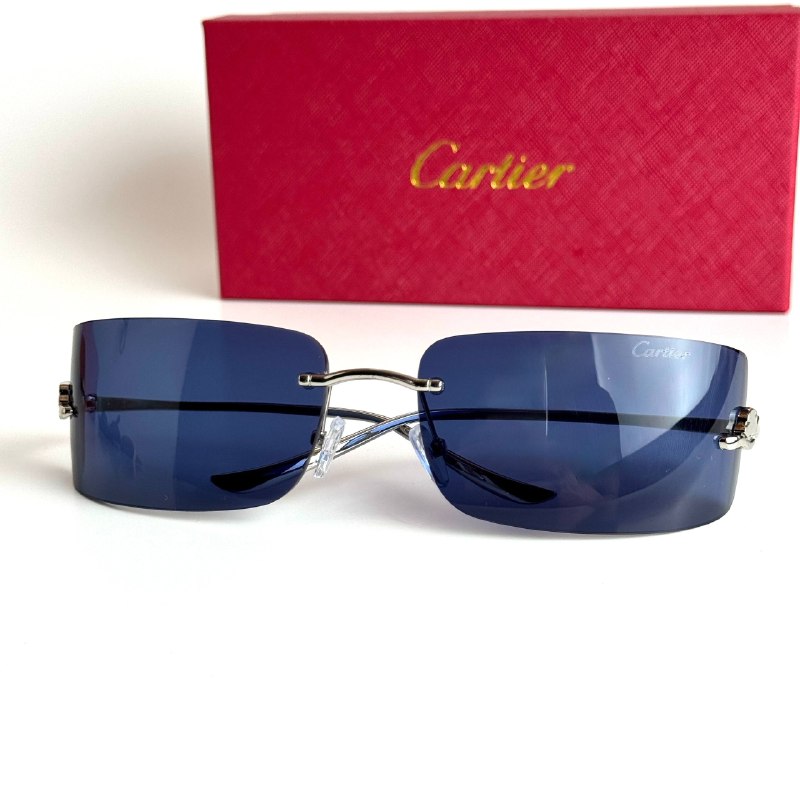 Cartier Mask CT0398S-002 – Silver Blue