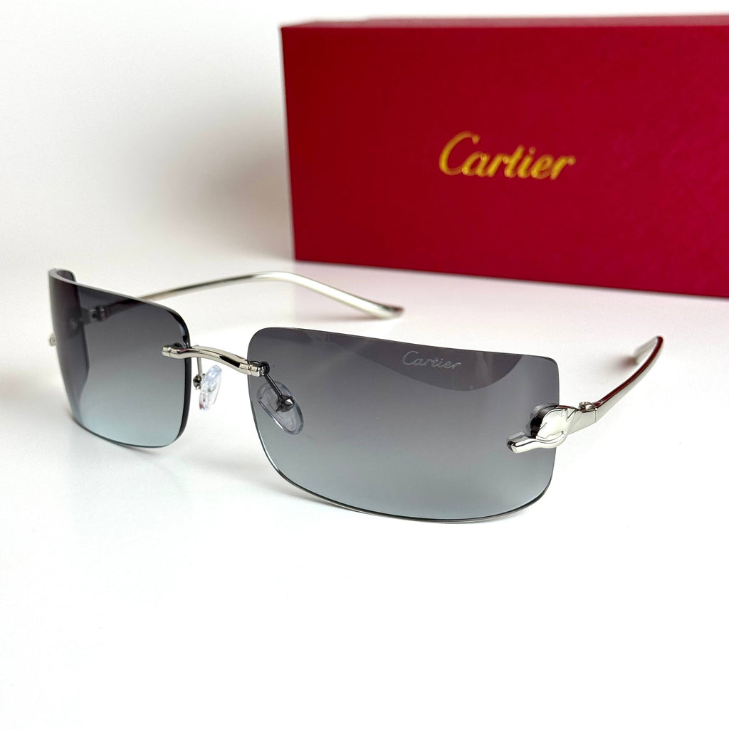 Cartier CT0487S – Silver Grey