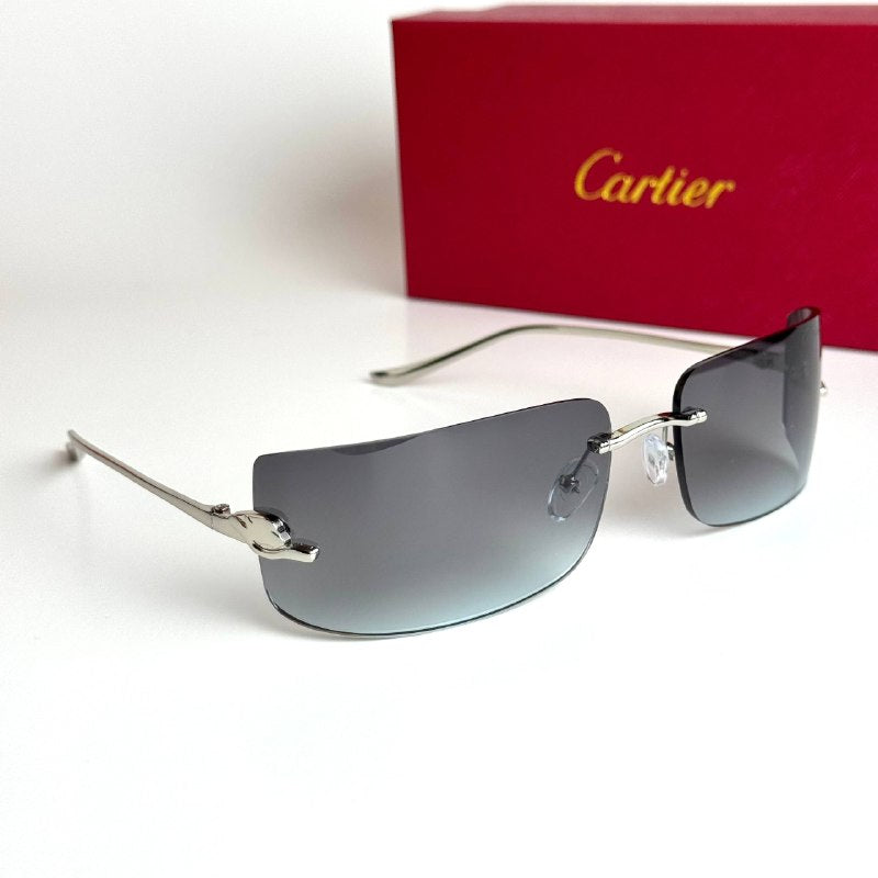 Cartier CT0487S – Silver Grey