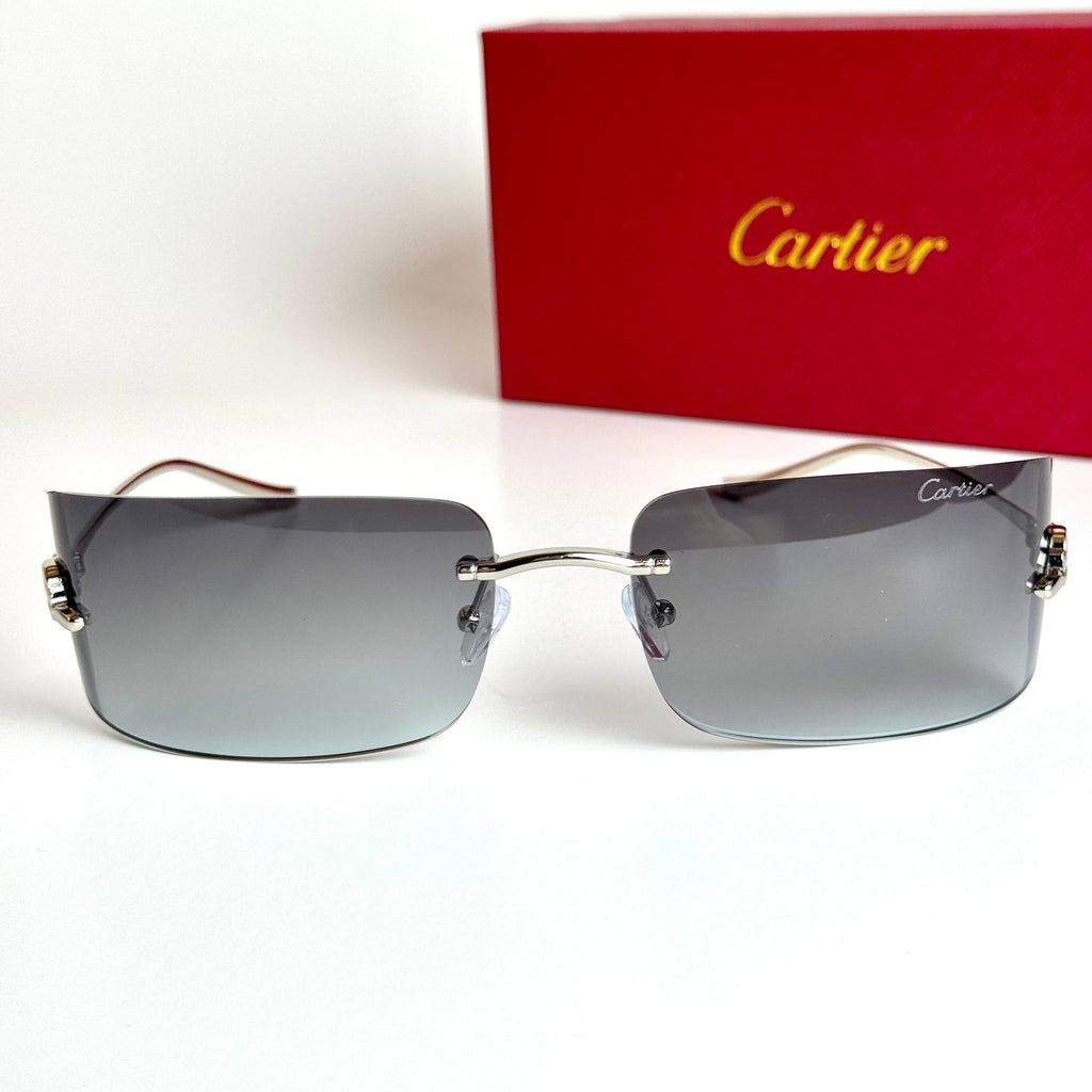 Cartier CT0487S – Silver Grey