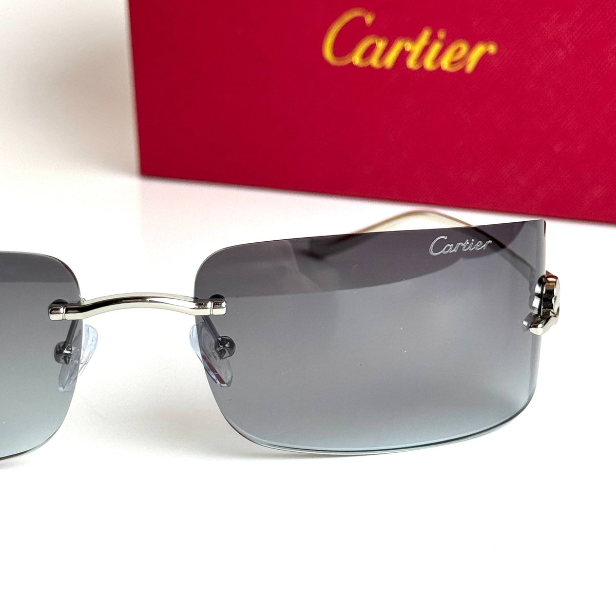 Cartier CT0487S – Silver Grey