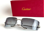 Cartier CT0487S – Silver Grey