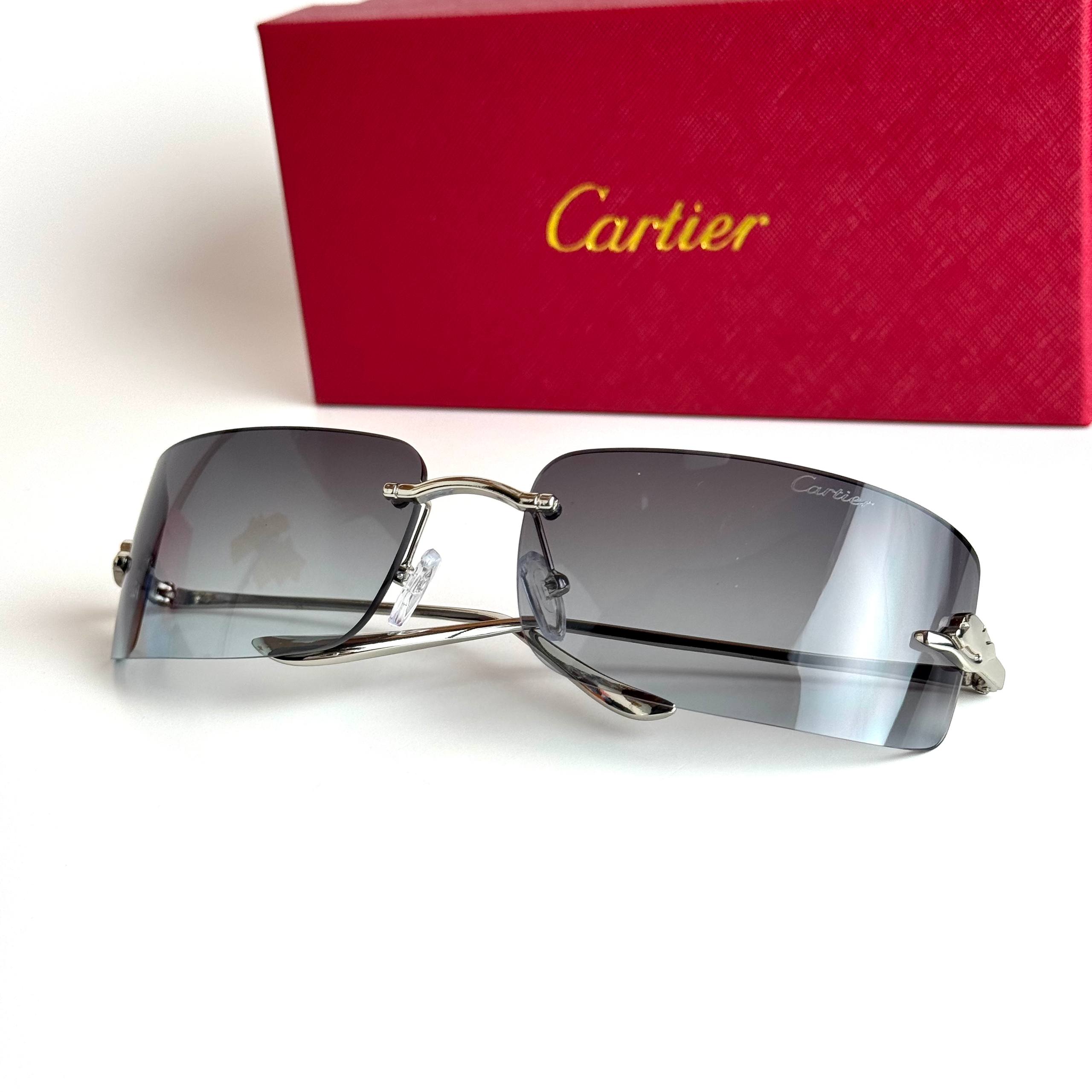Cartier CT0487S – Silver Grey