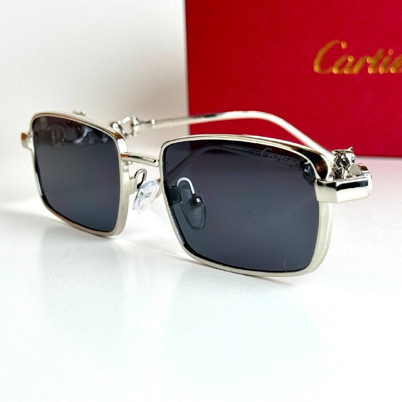 Cartier Rectangular CT4386 – Silver Black