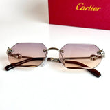 Cartier CT0468S – Silver Pink
