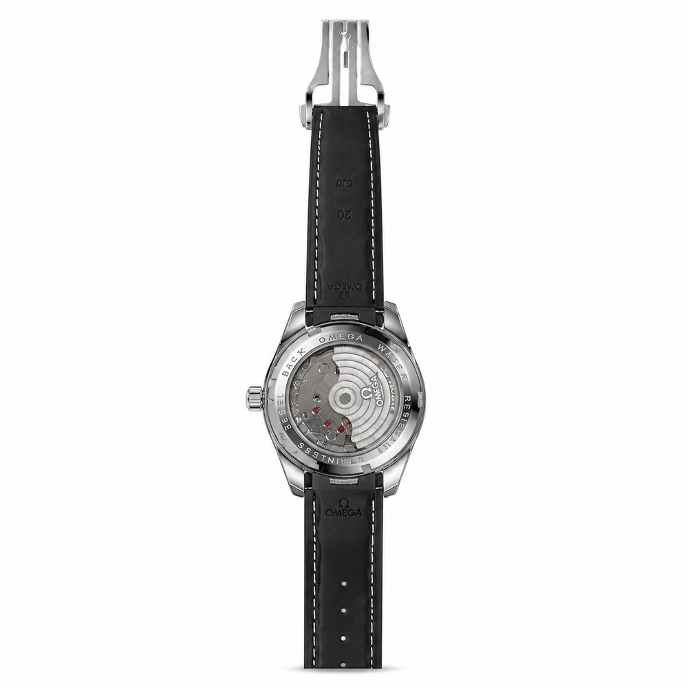 Omega Seamaster Aqua Terra – Silver Black