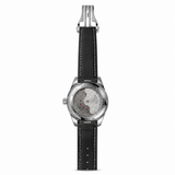 Omega Seamaster Aqua Terra – Silver Black