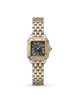 Panthère de Cartier – Silver Gold Black Dial